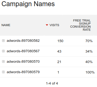 Tracking Google Ads Campaign Names in Matomo
