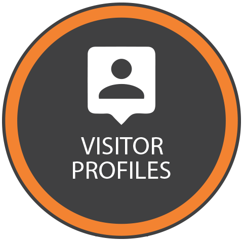 Matomo's Visitors feature