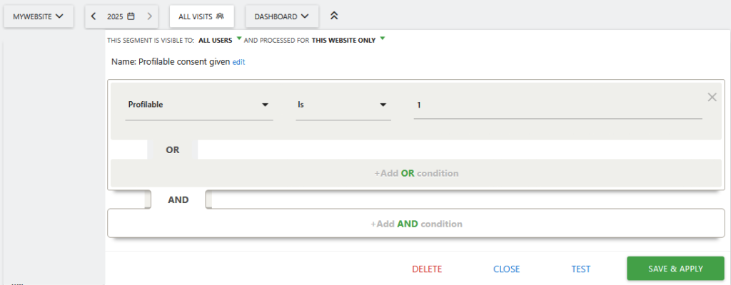 Matomo Profilable custom segment
