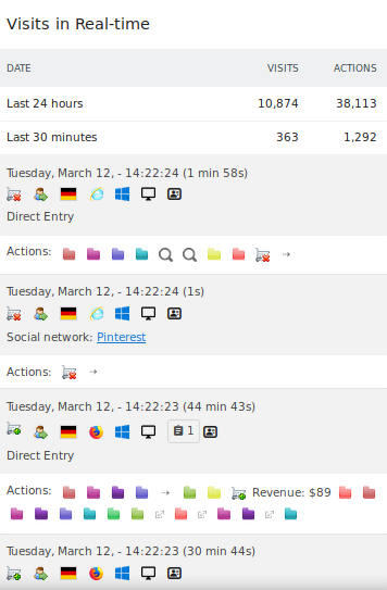 A screenshot of Matomo's real-time visitor log