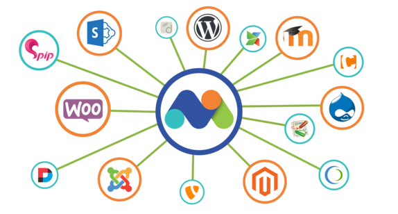 A screenshot of Matomo's integrations